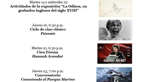 Actividades febrero