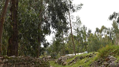 BATANYACU-HUANCAYO