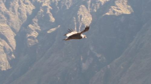 IMG_0820