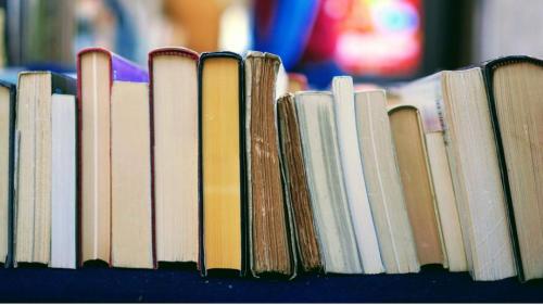 Relevamiento sobre la edición de autor