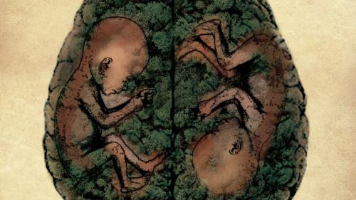 afiche Bosques