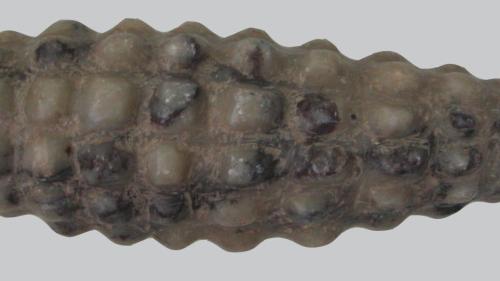 Escultura Wari