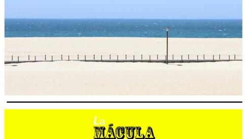 macula2
