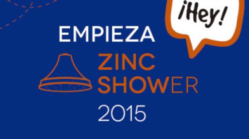 zincshower-452×217
