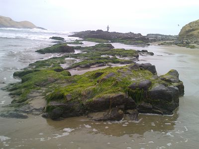 WP_000100