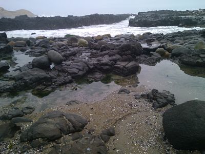 WP_000109