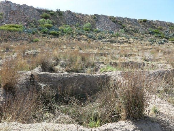 Foto de la excavación de La Hoyada, Ayacucho. Fotografía Margarita Saona.