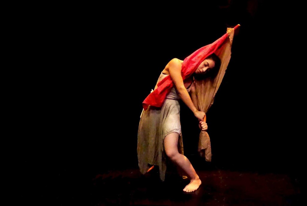 Maguey teatro (1)
